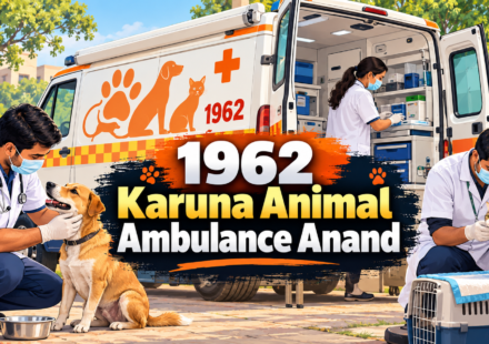 1962 Karuna Animal Ambulance Anand providing emergency veterinary care