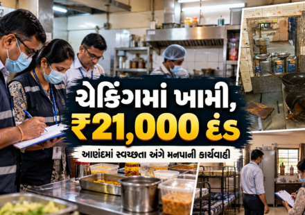 Anand Food Safety Inspection by municipal health officials